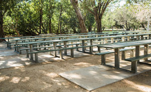 Company Picnic Specialists │ Company Picnics in Orange County │Irvine Regional Park │ Picnic Games │ Picnic Entertainment │ Activities for Company Picnics │Concessions │ Custom Menus │ We Do it All │ Free Quotes