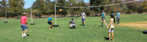 Company Picnic Specialists │ Company Picnics in Orange County │Irvine Regional Park │ Picnic Games │ Picnic Entertainment │ Activities for Company Picnics │Concessions │ Custom Menus │ We Do it All │ Free Quotes