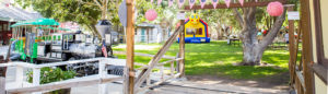 Company Picnic Specialists │ Company Picnics in Orange County │Irvine Regional Park │ Picnic Games │ Picnic Entertainment │ Activities for Company Picnics │Concessions │ Custom Menus │ We Do it All │ Free Quotes