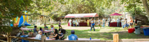 Company Picnic Specialists │ Company Picnics in Orange County │Irvine Regional Park │ Picnic Games │ Picnic Entertainment │ Activities for Company Picnics │Concessions │ Custom Menus │ We Do it All │ Free Quotes