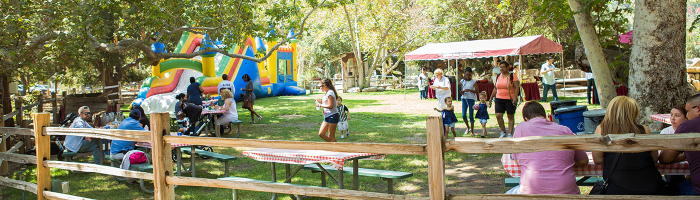 Company Picnic Specialists │ Company Picnics in Orange County │Irvine Regional Park │ Picnic Games │ Picnic Entertainment │ Activities for Company Picnics │Concessions │ Custom Menus │ We Do it All │ Free Quotes