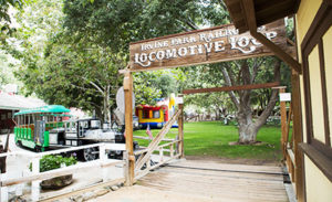 Company Picnic Specialists │ Company Picnics in Orange County │Irvine Regional Park │ Picnic Games │ Picnic Entertainment │ Activities for Company Picnics │Concessions │ Custom Menus │ We Do it All │ Free Quotes