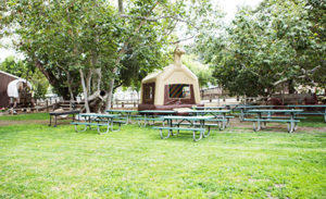 Company Picnic Specialists │ Company Picnics in Orange County │Irvine Regional Park │ Picnic Games │ Picnic Entertainment │ Activities for Company Picnics │Concessions │ Custom Menus │ We Do it All │ Free Quotes