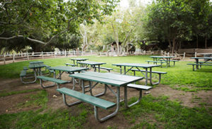 Company Picnic Specialists │ Company Picnics in Orange County │Irvine Regional Park │ Picnic Games │ Picnic Entertainment │ Activities for Company Picnics │Concessions │ Custom Menus │ We Do it All │ Free Quotes
