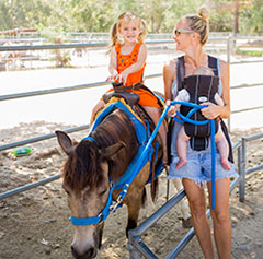Pony Rides Company Picnic Specialists │ Company Picnics in Orange County │Irvine Regional Park │ Picnic Games │ Picnic Entertainment │ Activities for Company Picnics │Concessions │ Custom Menus │ We Do it All │ Free Quotes