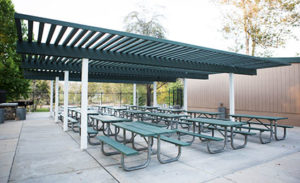 Company Picnic Specialists │ Company Picnics in Orange County │Irvine Regional Park │ Picnic Games │ Picnic Entertainment │ Activities for Company Picnics │Concessions │ Custom Menus │ We Do it All │ Free Quotes
