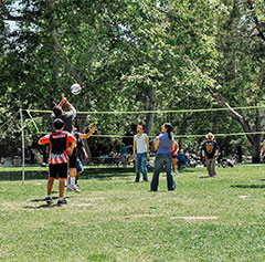 CPS - Volleyball Company Picnic Specialists │ Company Picnics in Orange County │Irvine Regional Park │ Picnic Games │ Picnic Entertainment │ Activities for Company Picnics │Concessions │ Custom Menus │ We Do it All │ Free Quotes