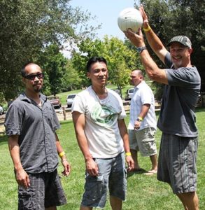 company picnic volleyball