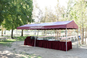 Company Picnic Specialists │ Company Picnics in Orange County │Irvine Regional Park │ Picnic Games │ Picnic Entertainment │ Activities for Company Picnics │Concessions │ Custom Menus │ We Do it All │ Free Quotes