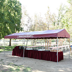 Company Picnic Specialists │ Company Picnics in Orange County │Irvine Regional Park │ Picnic Games │ Picnic Entertainment │ Activities for Company Picnics │Concessions │ Custom Menus │ We Do it All │ Free Quotes